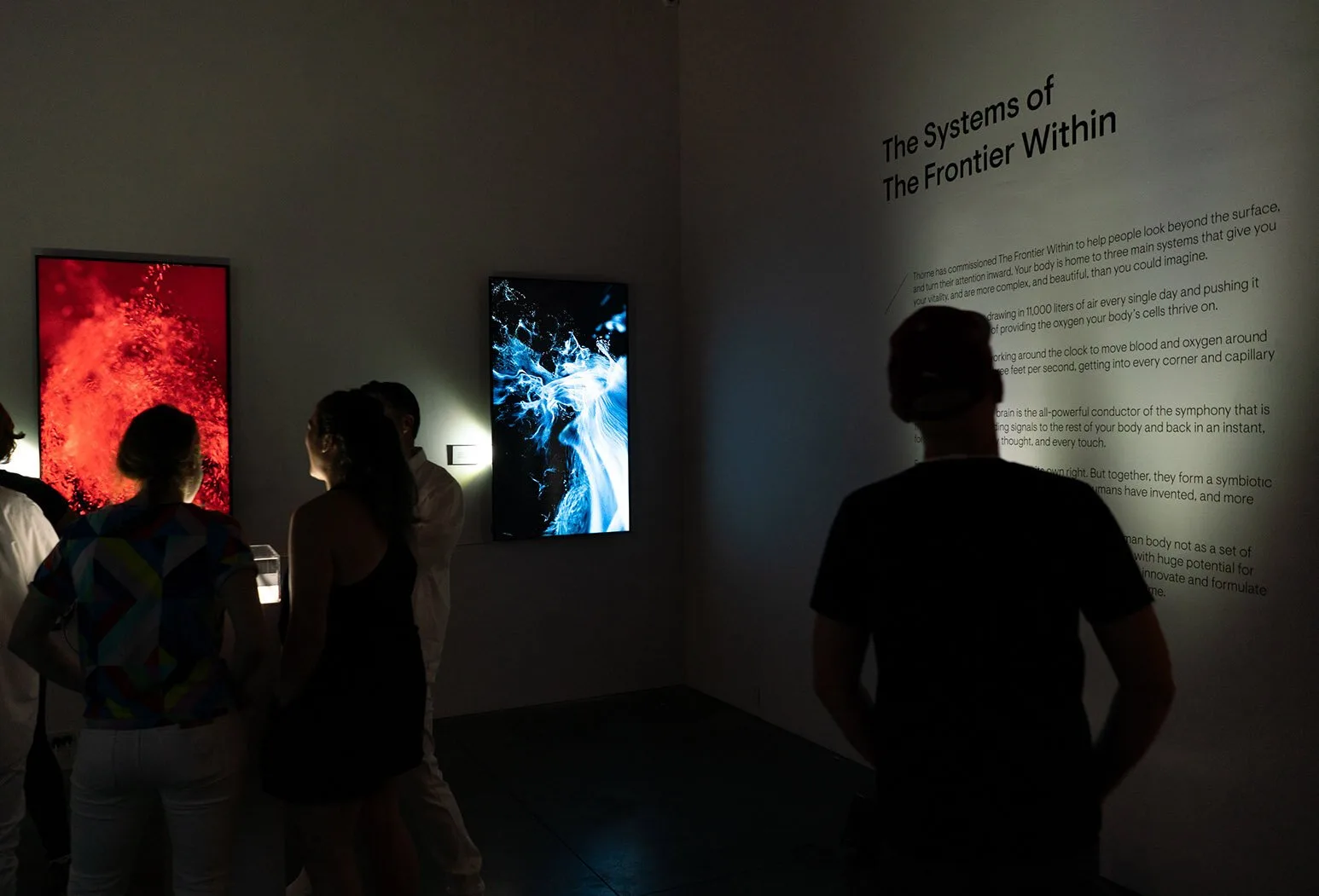 frontier-within-3_0002_install-05299.jpg